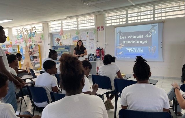 Mme Léonore BELHANI présente les cétacés en Guadeloupe