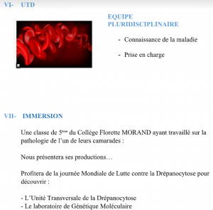 Extrait du programme de IUTD